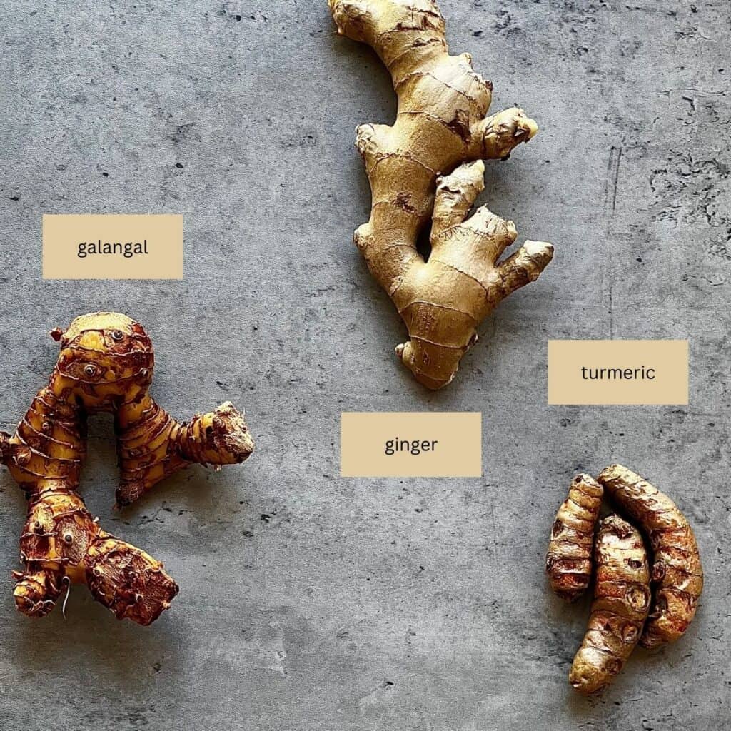 Galangal Ginger And Turmeric Sticky Rice Thai Kitchen