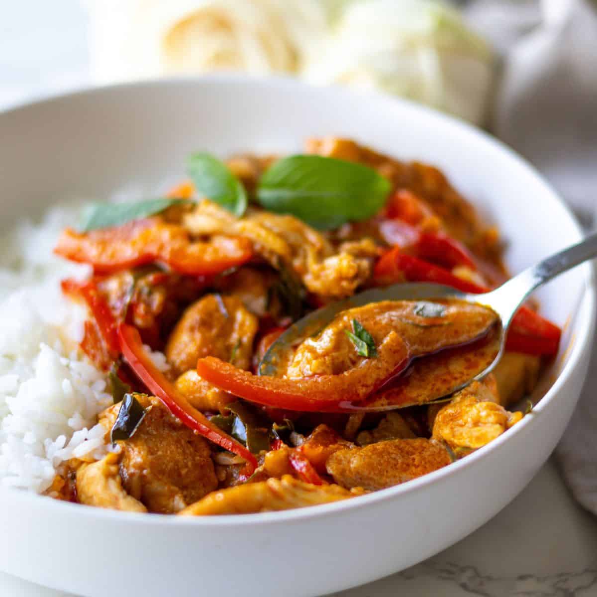 Panang Chicken with Rice