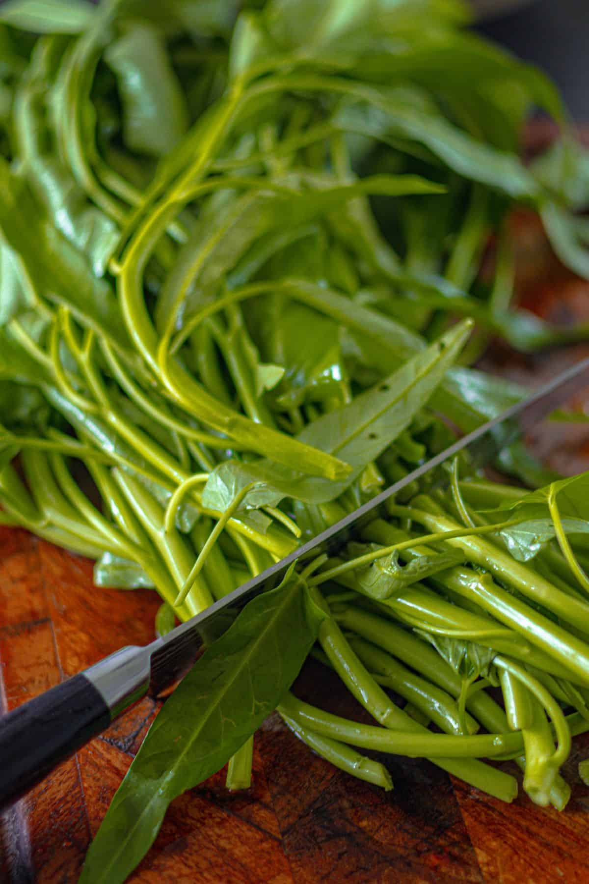 Chopping Morning Glory or Pak Boong
