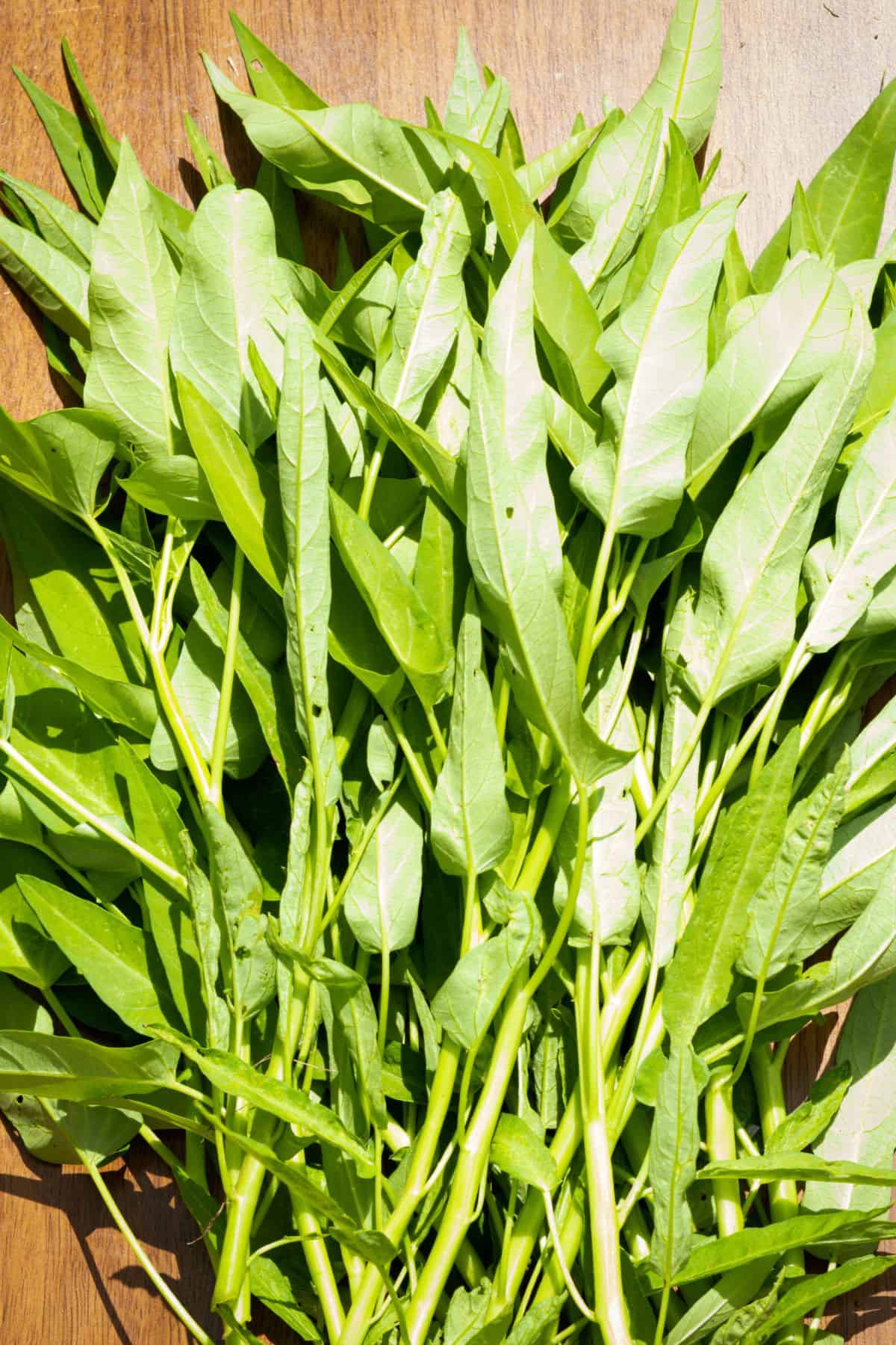 Water Spinach for Pad Pak Boong